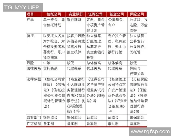 北京篮球队实力对比深度解析：各队优劣势及未来发展趋势探讨