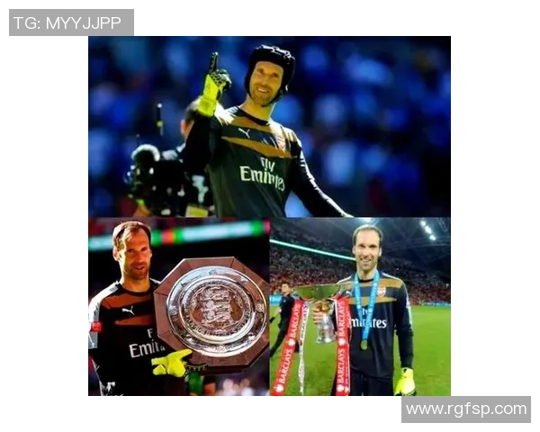 回顾捷克2006年足球明星的辉煌瞬间与赛场传奇 回顾捷克2006年足球明星的辉煌瞬间与赛场传奇