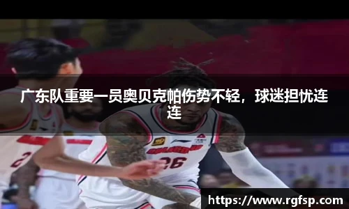jn体育官网