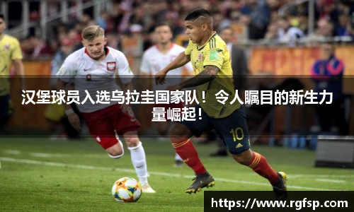 JN江南.体育