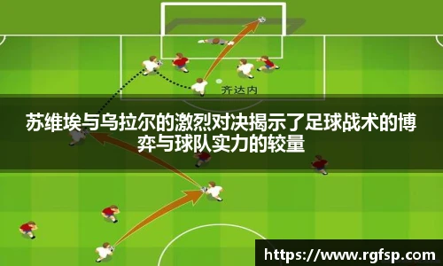 jn体育官网